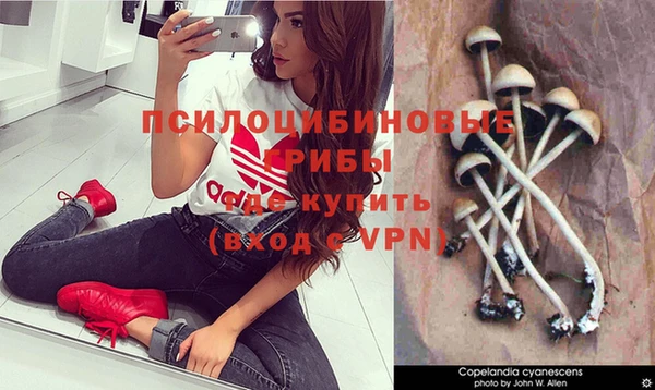 крисы Осташков