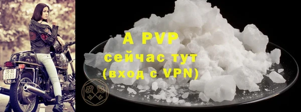 крисы Осташков